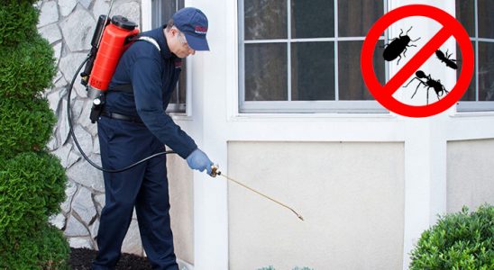 Ayvacık Kemirgen İlaçlama böcek ilaçlama ve haşere kontrolü — ilaclama-tr.com